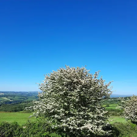 Summit Camping Kit Hill Cornwall Panoramic Views Grass Pitch From 15Pn Or Bella Bell Tent 75Pn Callington Room photo
