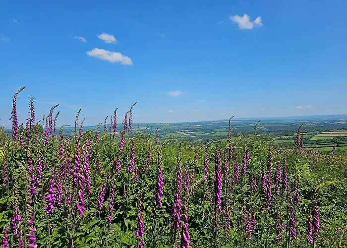 Summit Camping Kit Hill Cornwall Panoramic Views Grass Pitch From 15Pn Or Bella Bell Tent 75Pn