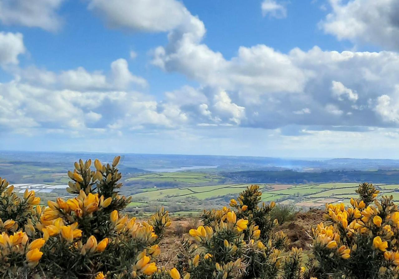 Summit Kit Hill Cornwall Panoramic Views Grass Pitch From 15pn Or Bella Bell Tent 75pn Campsite