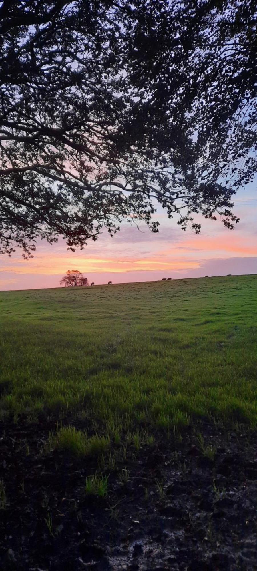 Summit Kit Hill Cornwall Panoramic Views Grass Pitch From 15pn Or Bella Bell Tent 75pn